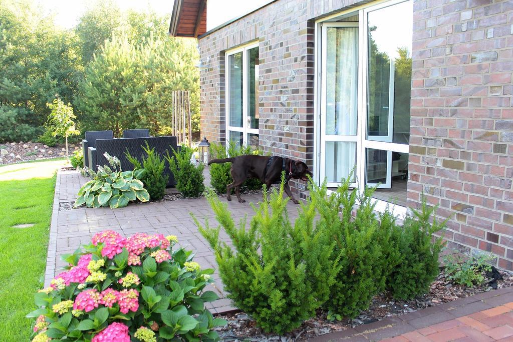 Lesny Apartament Ostrzyce Rom bilde
